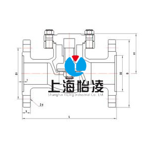 DH41F低温法兰止回阀图纸 DH41F低温法兰止回阀图纸